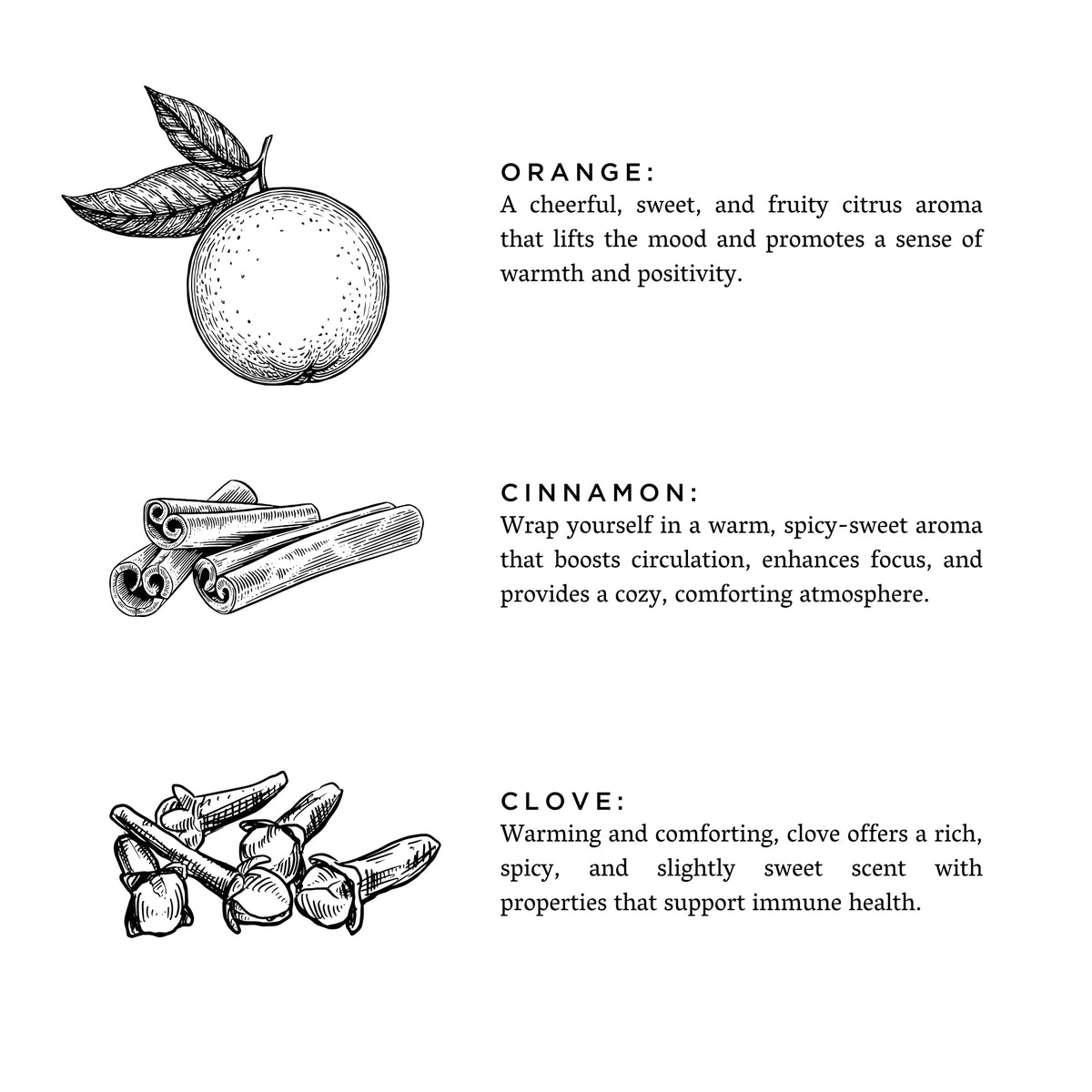 Orange + Clove soy candle by Slow North, hand-poured in Austin, Texas